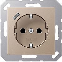 Розетка с заземлением +1хUSB тип C без рамки Jung A creation 1-м. шампань картинка